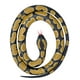 Photo 1 of Ball Python Rubber Snake 46 inch - Play Animal by Wild Republic (20775)