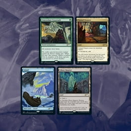 Magic the Gathering: Secret Lair x Arcane Lands (Foil) [Card