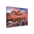thumbnail image 2 of Trademark Fine Art 'Arizona Reflection I' Canvas Art by David Drost, 2 of 4