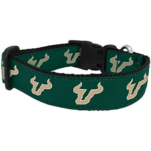 College Dog Collar (Small, South Florida)