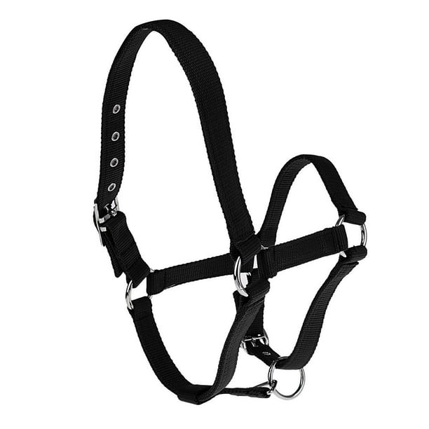 Corde de plomb cheval optique supplémentaire, tissage de