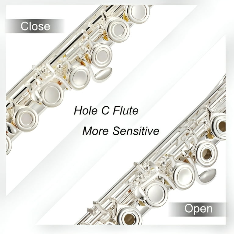 Eastar C Flutes For Beginner Open Hole 16 Keys Kids Student Flute Instrument For Student School Band Eastar C Flutes For Beginner Open Hole 16 Keys Kids Student Flute Instrument For Student School Band