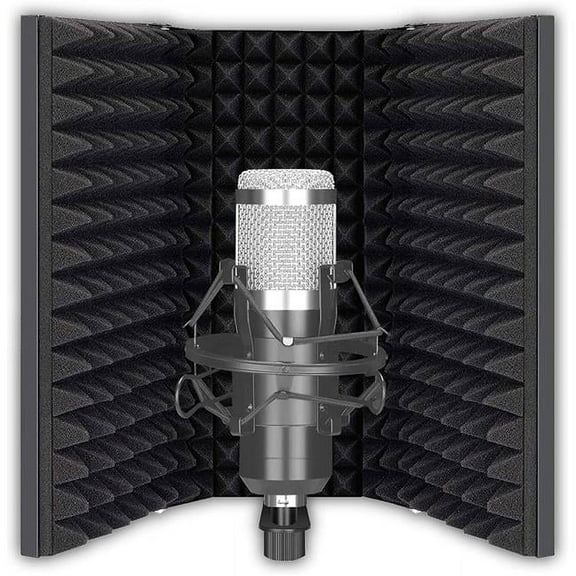 Studio Shield Instrument Condenser Microphone