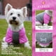 thumbnail image 2 of Camisas para perros KYEESE de secado rápido, suaves, elásticas y reflectantes, paquete de 2, 2 of 8