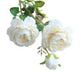 thumbnail image 1 of 24 Inches 3 Heads Artificial Flowers Western Roses European Peony Flowers Decorative Fake Flower, 1 of 1
