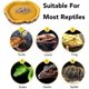 thumbnail image 4 of Paquete de 2 cuencos de comida para reptiles, cuencos de agua y comida para reptiles, cuenco de comida novedoso para lagartos, dragones barbudos jóvenes, serpientes pequeñas y más, hechos de plástico, 4 of 6