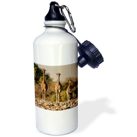 3dRose, Three in a Row, Flip Straw 21oz Water Bottle