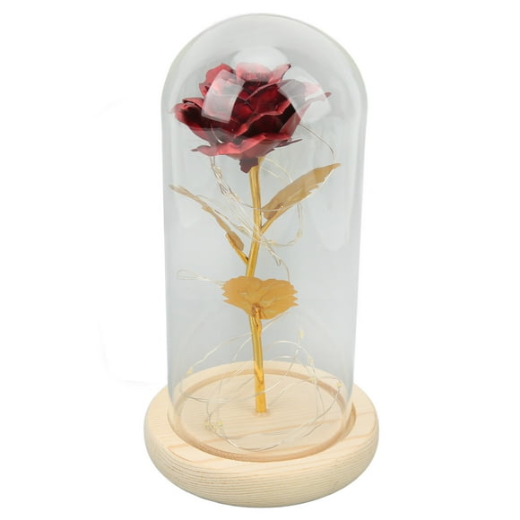 Enchanted Rose Romantic Gifts, Glass Dome Transparent Beautiful Symbolism Rose in Glass Dome for Dates for Home Decor Gold Leaf Rose Red