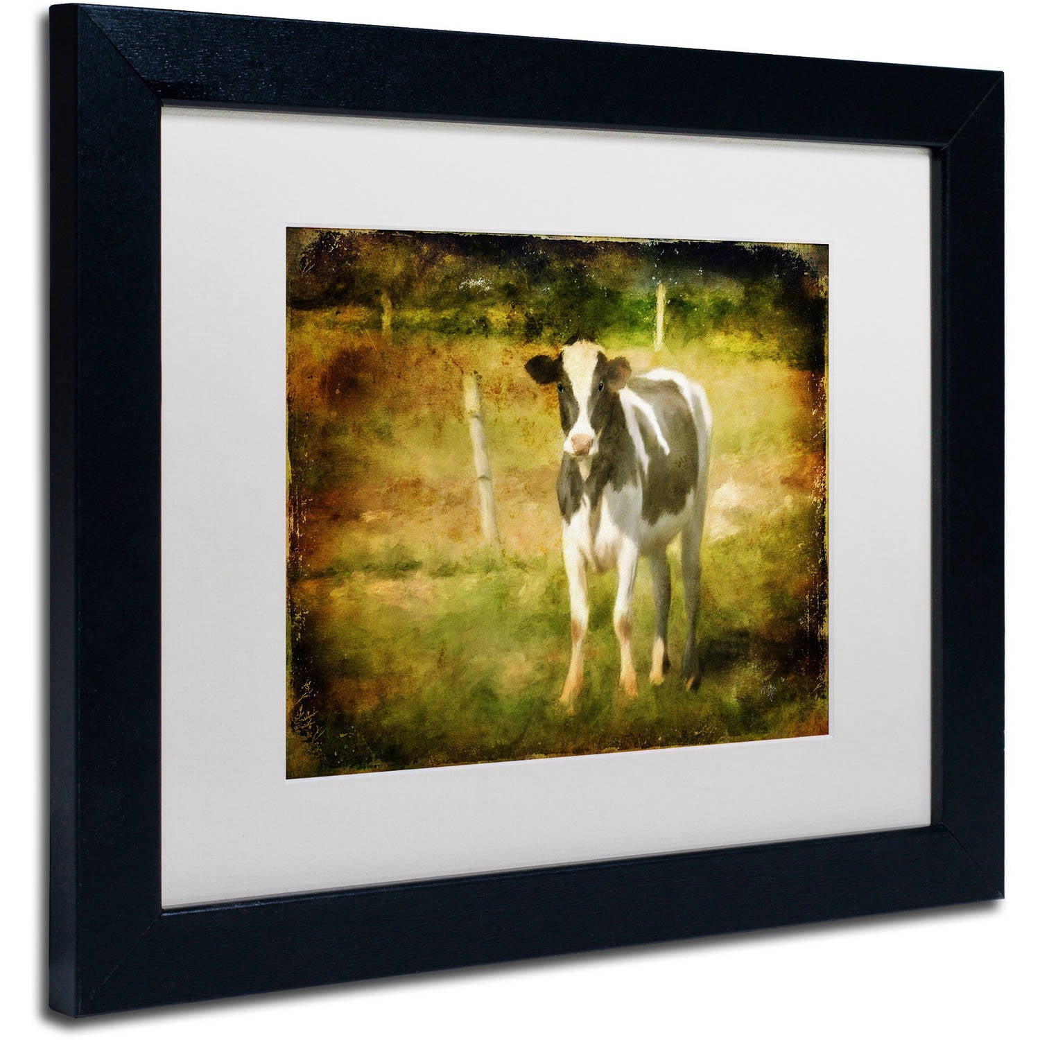 Trademark Fine Art "Handsome Holstein" Canvas Art by Lois Bryan White Matte, Black Frame