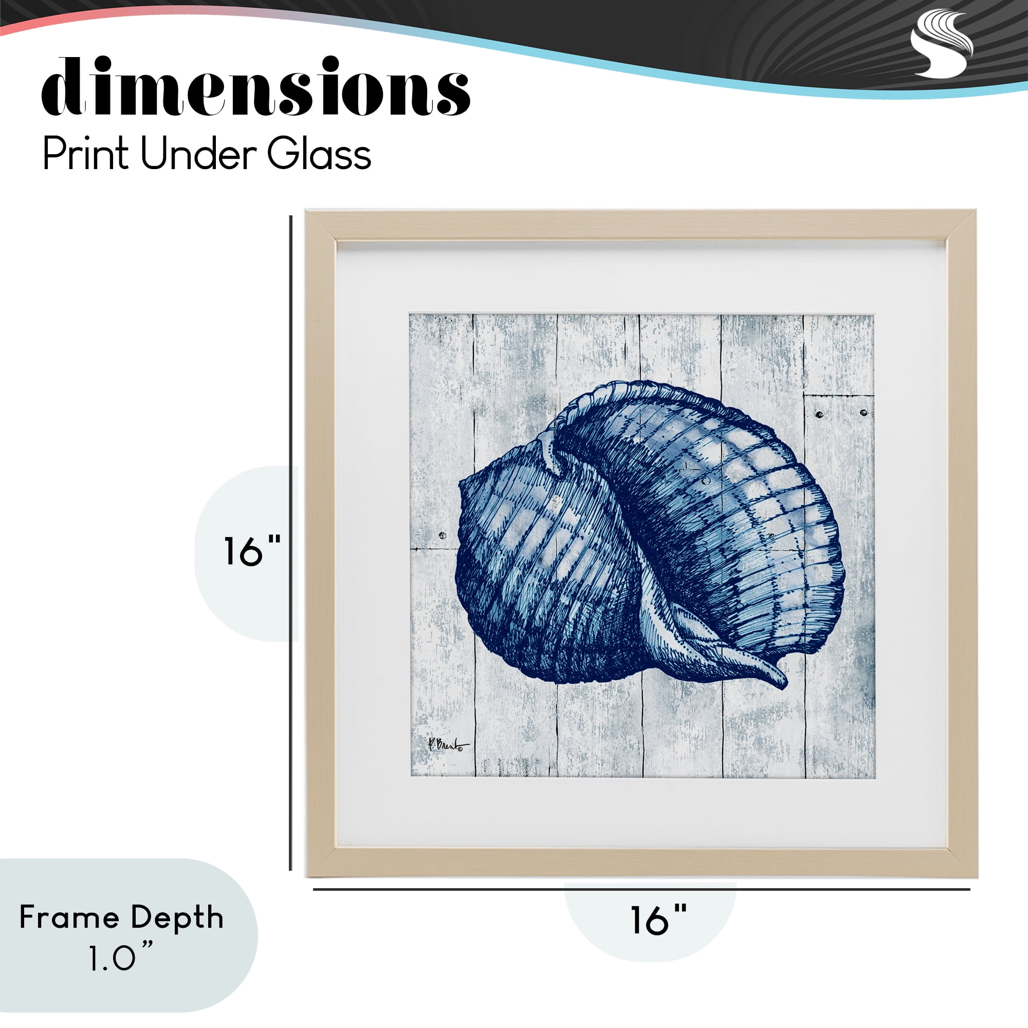 Stupell Industries Coastal Timberland Shell Birch Framed Print Under Glass, design by Paul Brent
