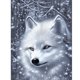 thumbnail image 1 of Diamond Painting 5D DIY Full Round Drill Wolf Kit Decoración del hogar Craft (A6504) Hugtrwg Para estrenar, 1 of 9