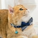 thumbnail image 3 of Accesorios para collares de corbata para mascotas | Pajarita de caza interesante para perros y gatos | Bonita, cómoda y duradera, 3 of 5