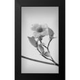 thumbnail image 2 of Mahan, Kathy 12x18 Black Modern Framed Museum Art Print Titled - Pacific Dogwood Blossoms II, 2 of 5