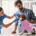 thumbnail image 4 of WASHWEPE 4Pcs Dog Pullover Clothes Breathable Summer Outfit for Small Dogs and Cats, 4 of 6
