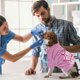 thumbnail image 4 of unbranded 4Ud Ropa Para Perros Pullover Y Transpirable Para Mascotas De Colores Variados, 4 of 5