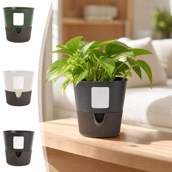 Self-Watering Root Control Planter, Removable Plastic Pot for Pothos, 5 Inch, 3 Colors