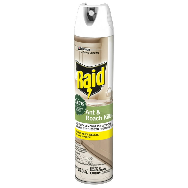 Johnson Raid Ant Killer Liquid Insecticide cafecentralmugron.fr