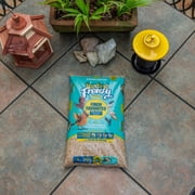 Pennington Feeding Frenzy Finch Favorite, Wild Bird Seed Mix, Bird Food, 10 lb