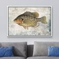 thumbnail image 2 of wall26 Framed Canvas Print Wall Art Redear Sunfish on Granite Background Marine Life Animals Digital Art Realism Nautical Scenic Colorful Ultra for Living Room, Bedroom, Office - 24"x36" Wh, 2 of 5
