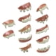 thumbnail image 5 of Accesorio de disfraz de cosplay divertido para adultos con dientes de Halloween, decoración para fiesta elegante 12 piezas nacaradas., 5 of 9