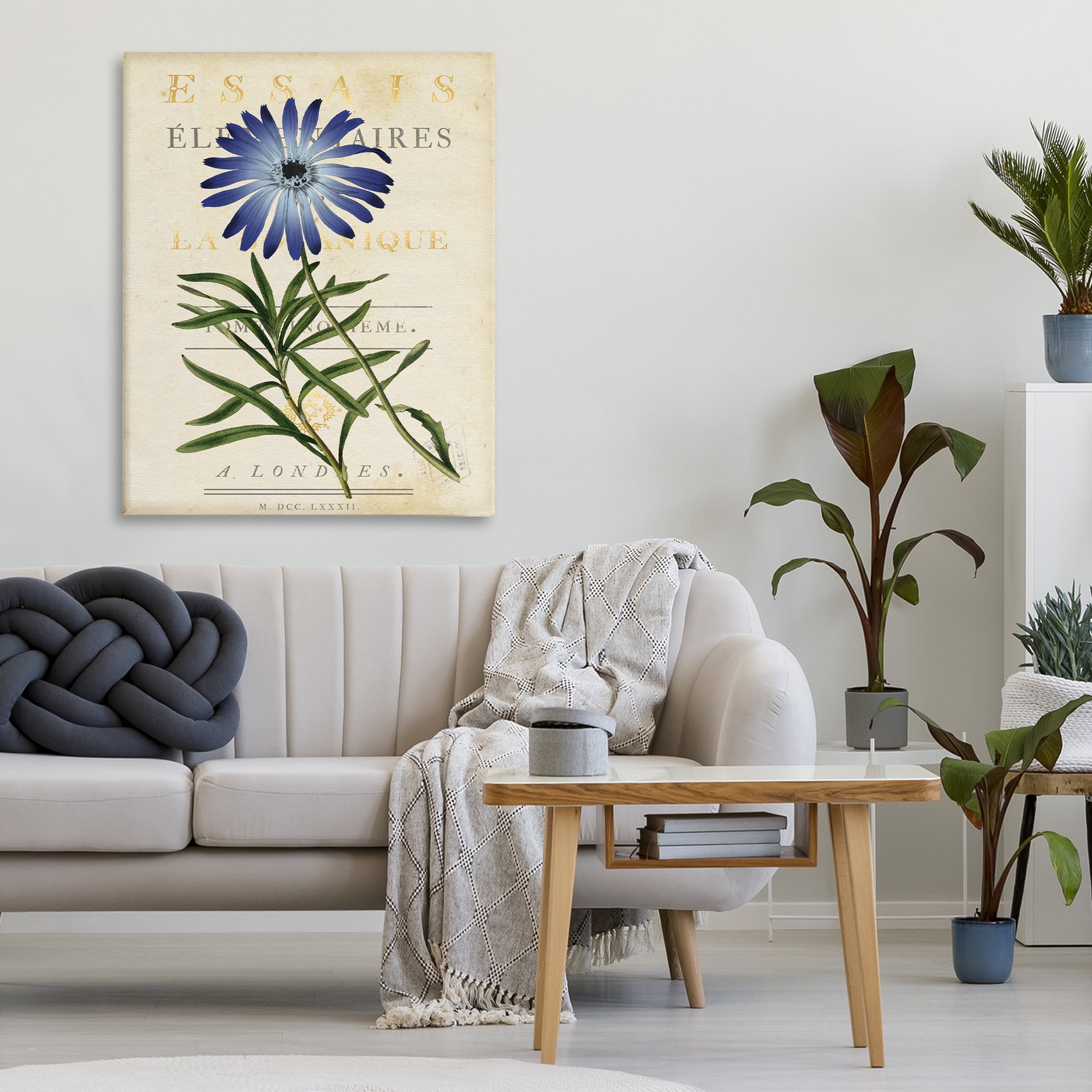 Stupell Industries Natural Botany Daisy Canvas Wall Art, design by Susan Arnot