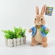 thumbnail image 1 of Peluche Peter Rabbit Beatrix Potter de 30 cm para bebés y niños, 1 of 2
