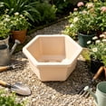 thumbnail image 6 of Hexagon Planter Pot Thickened Modern Plastic Flower Container with Drainage Hole for Indoor Outdoor Balcony Garden Home, 6 of 6