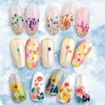 216PCS Dried Flowers Nail Art Nail Art Accessories Kits, 57 Color