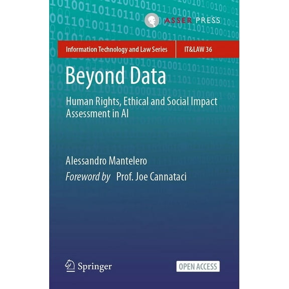Information Technology and Law Beyond Data: Human Rights, Ethical and Social Impact Assessment in AI, Book 36, (Paperback)