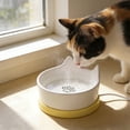 thumbnail image 6 of Pet Heated Water Bowl - Comfortable and Durable for Dogs, Cats, and Birds - Perfect for Indoor and Outdoor Use, 6 of 7
