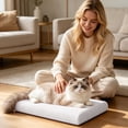 thumbnail image 1 of Tong Ice Silk Mat With Ice Plate For Instant Removable Washable Breathable Cat And Summer Heat Mat, 1 of 4