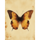 thumbnail image 1 of Qisvanset Framed Canvas Wall Art 12x16 Inch Beige Watercolor Butterfly Girl Nursery Print Art, 1 of 5