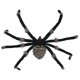 thumbnail image 1 of 1 araña falsa para regalos de Halloween., 1 of 3