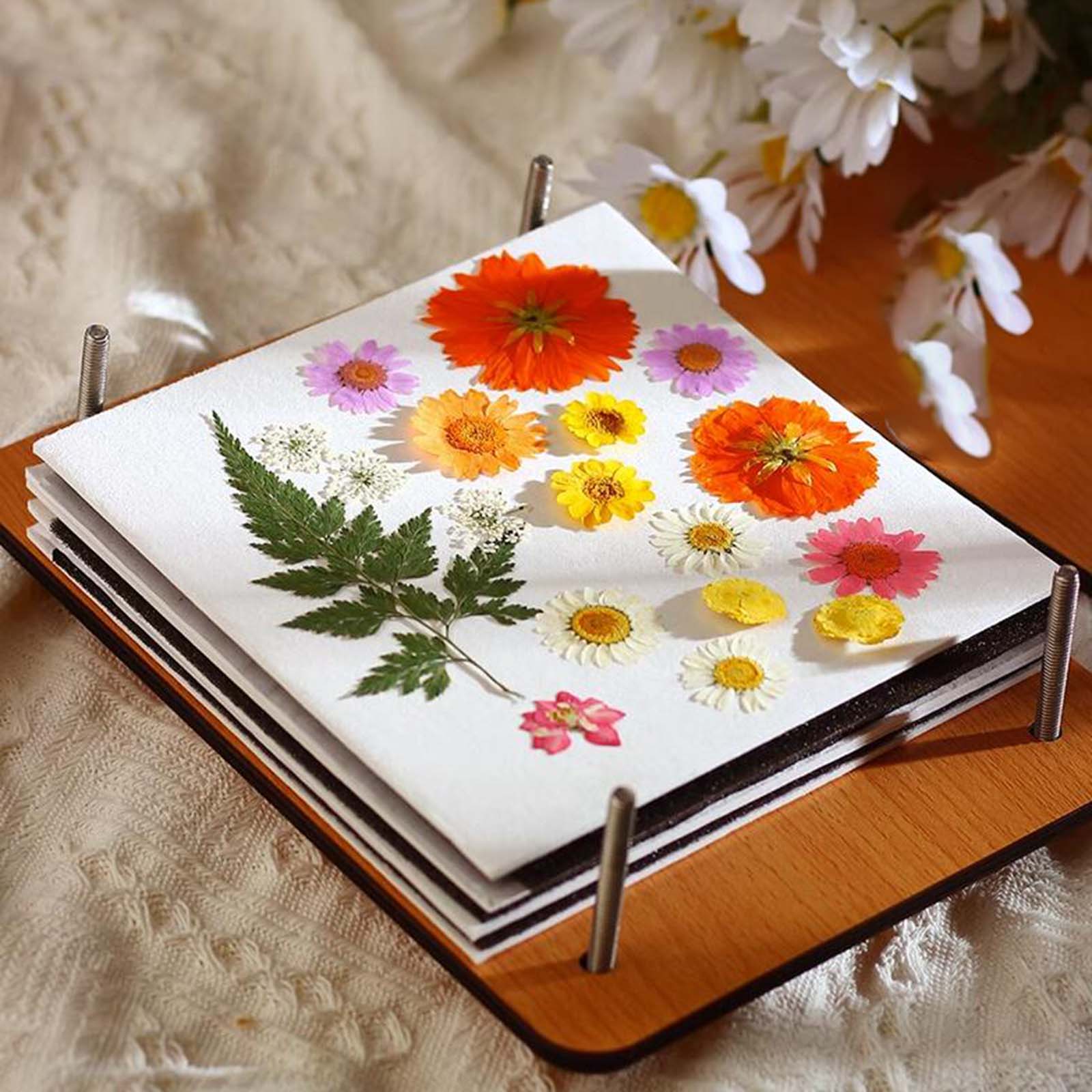 Abbraccia Press Flower Book, DIY herbarium, 9.45 x 7.09 Inches Arts Crafts Leaf Pressing Book, Tools for Photo Artworks Bookmarks