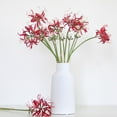 thumbnail image 4 of Artificial Red Spider Lilies Silk Flowers Branch with Long Stem Wedding Home Decoration Fake Lycoris Flower Photography Props (A), 4 of 7