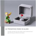 thumbnail image 2 of Rose Flower in Glass Dome Decorative Preserved Flower Adornment with Gift Box, 2 of 6