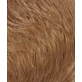 thumbnail image 1 of Ponytail Spring Clip - WCLC9, 1 of 51