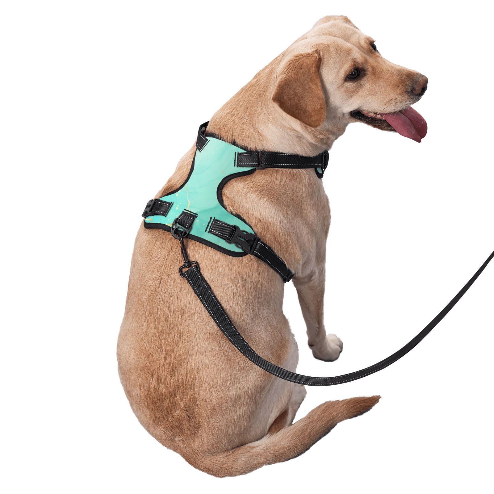 Fuzoiu Cyan Mint Marble Print Reflective Dog Harness,Adjustable, Breathable Pet Vest,Dog Harness No Pull,No Choke Pet Vest for Small, Medium, and Large Dogs-Small