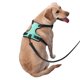 thumbnail image 2 of Fotbe Cyan Mint Marble Arnés para Perro con Estampado –Chaleco Ajustable Acolchado con Asa de Control para Perros Grandes-Medium, 2 of 6