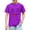 Purple, variant on Amidoa Crewneck Boys Short Sleeve Cotton Graphic T-Shirts Summer Cute  Casual Tee for Kids Mint Green,3 Years