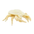 thumbnail image 3 of Modelo de simulación realista juguetes animales en miniatura figuras de animales marinos formas vívidas juguetes educativos de vida marina para regalo cangrejos, 3 of 8