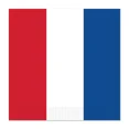 thumbnail image 1 of Serviettes-Lunch (Plusieurs Designs Disponibles), 1 of 1