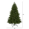 thumbnail image 4 of Nearly Natural Clear Prelit LED Green Holiday Pine New Hampshire Fir Artificial Christmas Tree, 5', 4 of 9