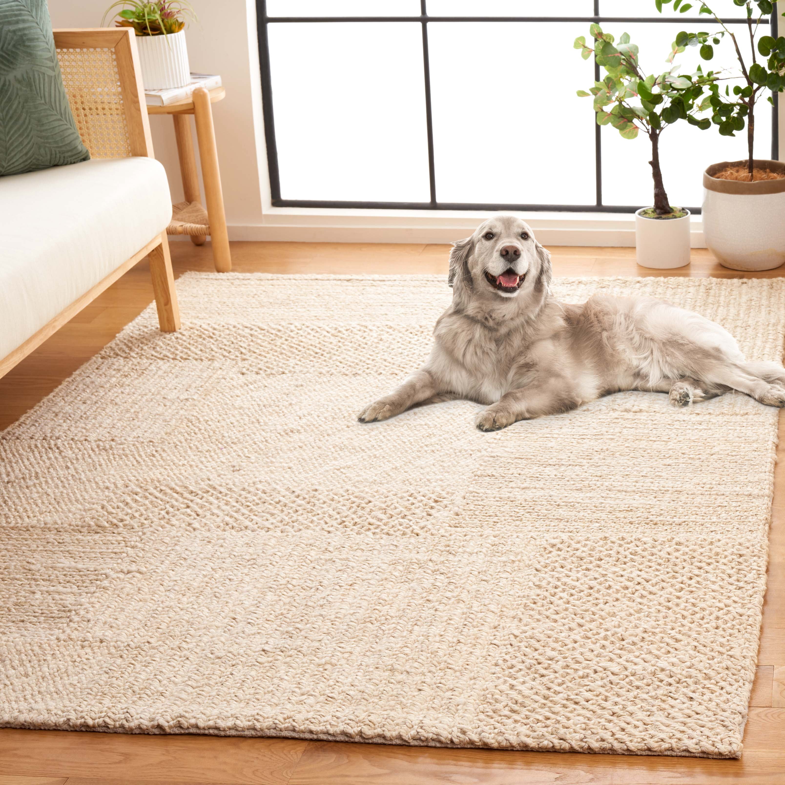 SAFAVIEH Natural Fiber Iacopo Solid Area Rug, Bleach/Ivory, 4' x 6'