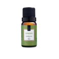 thumbnail image 1 of Essence Via Aroma 10ml Aromaterapia para Aromatizador Difusor Eléctrico Classic Original Deng Xun unisex, 1 of 2