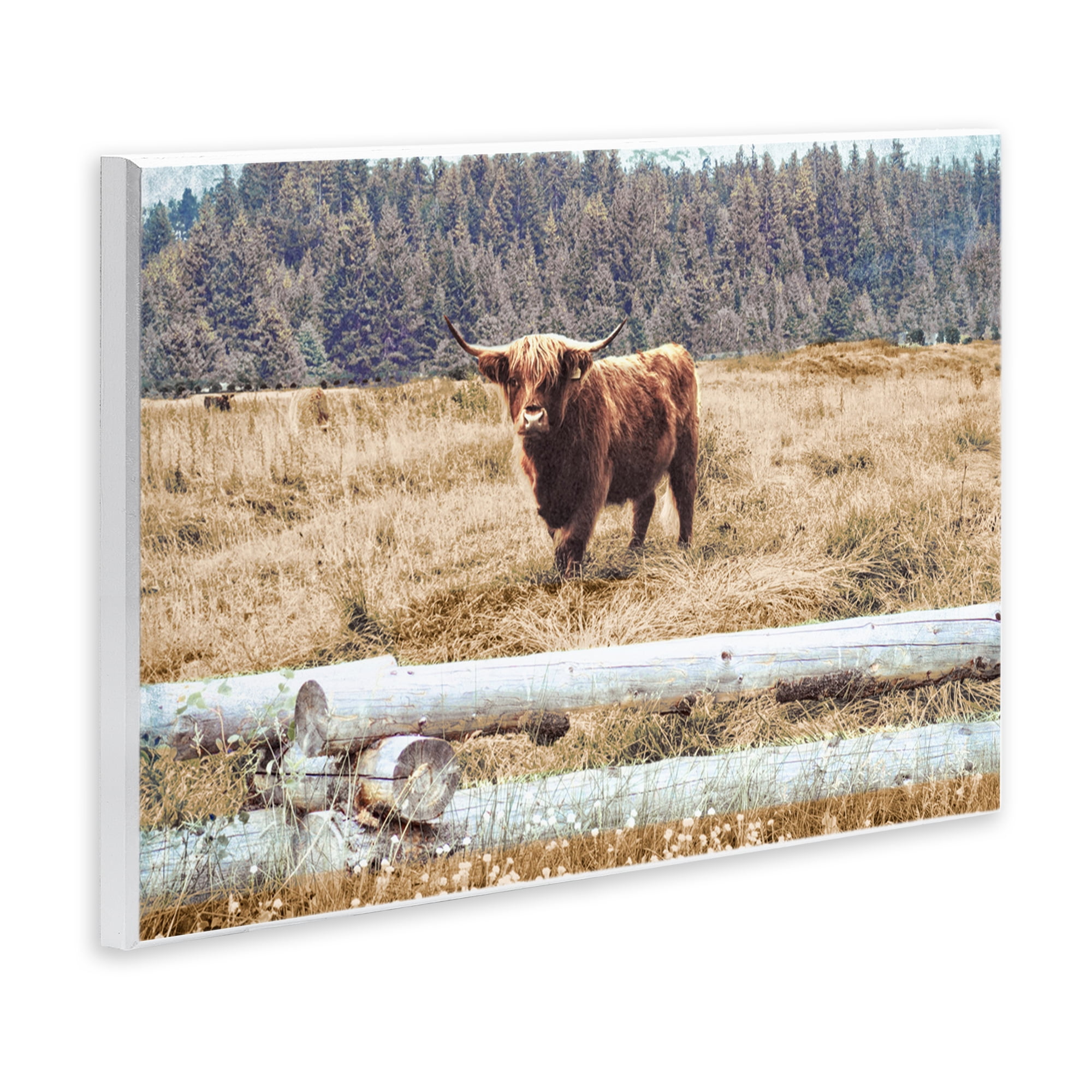 Stupell Industries Country Cattle with Fence Animals & Insects Photography Unframed Art Print Wall Art, 15 x 10