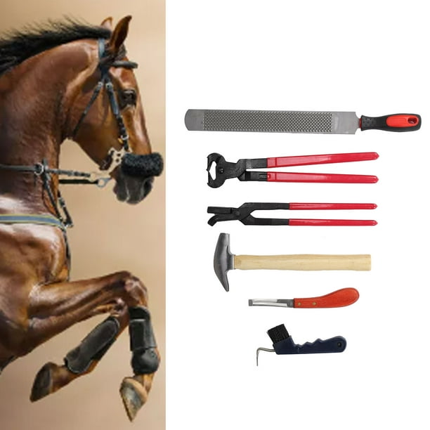 Dioche 6 pièces professionnel cheval maréchal-ferrant outil de coupe de  sabot ongles kit de pinces à fer à cheval 