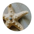 thumbnail image 4 of WYYP  Seashells Table Cloth Seacoast Beach Starfish and Seashells Tablecloth Picnic Table Cover BBQ Table Cloths Polyester for Kitchen Restaurant Coffee Table  38-42, 4 of 8
