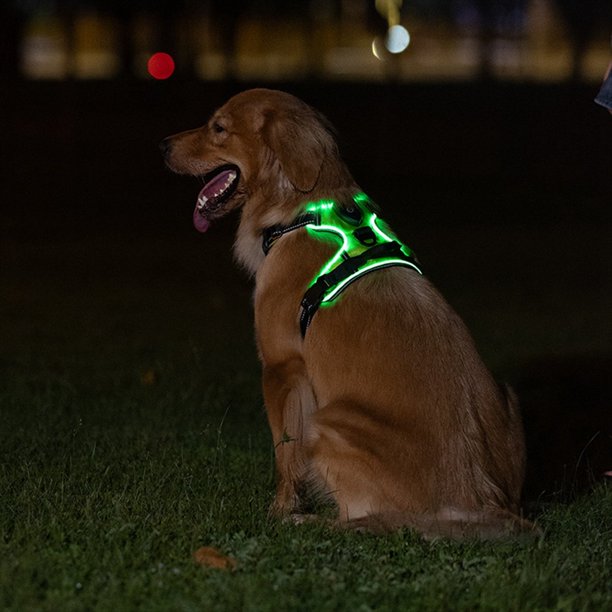 Arnés Luminoso para Mascotas Arnés Luminoso para Perros Correa de Pecho Ajustable para Mascotas S
