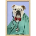 thumbnail image 2 of Bulldog in Vets Scrubs Wearing Glasses and Stethoscope, Animals Figurative Framed Art Print Wall Art Sold by ArtCom, 2 of 6